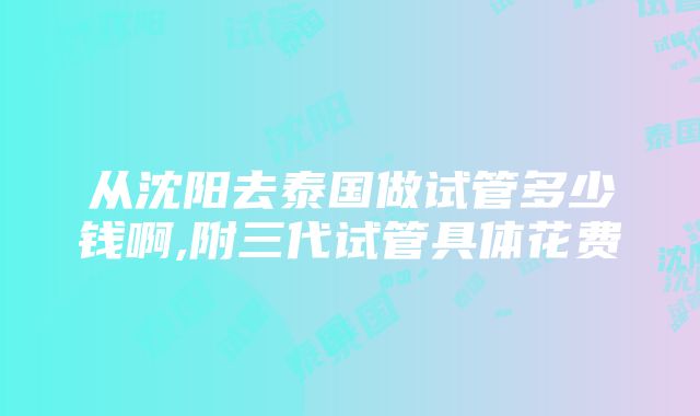 从沈阳去泰国做试管多少钱啊,附三代试管具体花费