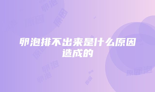 卵泡排不出来是什么原因造成的