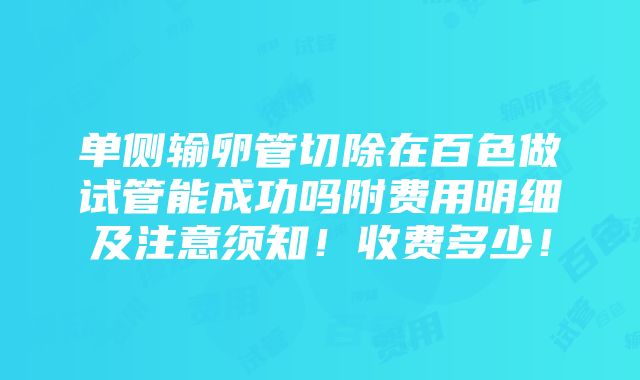 单侧输卵管切除在百色做试管能成功吗附费用明细及注意须知！收费多少！