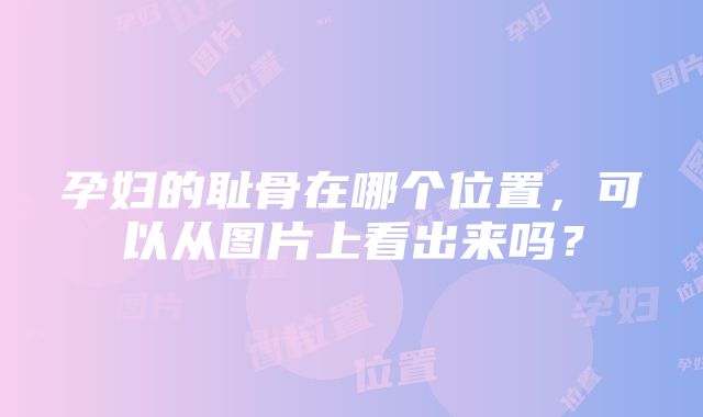 孕妇的耻骨在哪个位置，可以从图片上看出来吗？