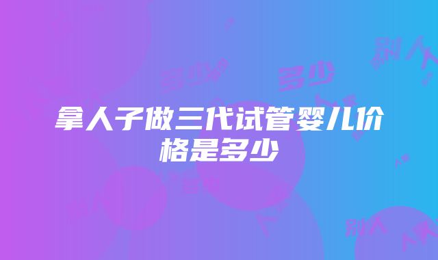 拿人子做三代试管婴儿价格是多少