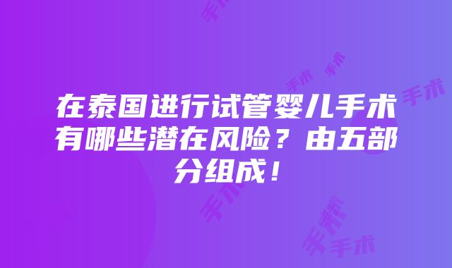 在泰国进行试管婴儿手术有哪些潜在风险？由五部分组成！