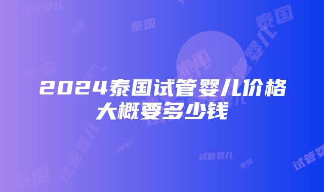 2024泰国试管婴儿价格大概要多少钱