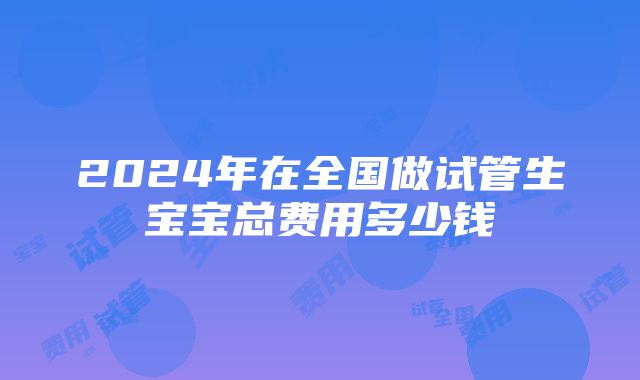 2024年在全国做试管生宝宝总费用多少钱