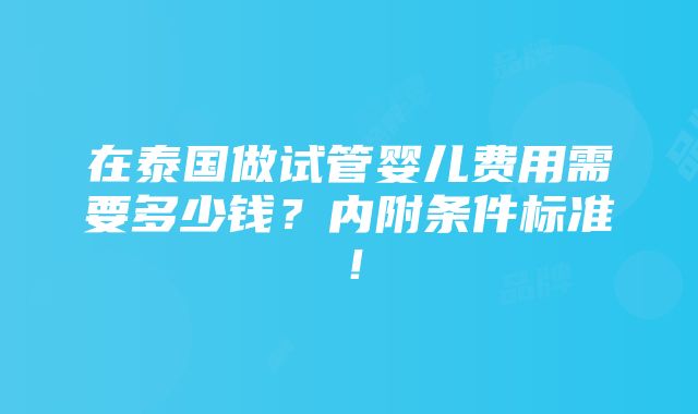 在泰国做试管婴儿费用需要多少钱？内附条件标准！