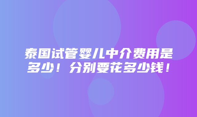 泰国试管婴儿中介费用是多少！分别要花多少钱！