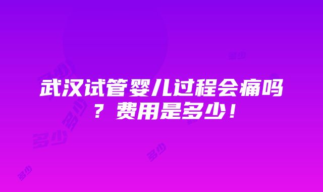 武汉试管婴儿过程会痛吗？费用是多少！