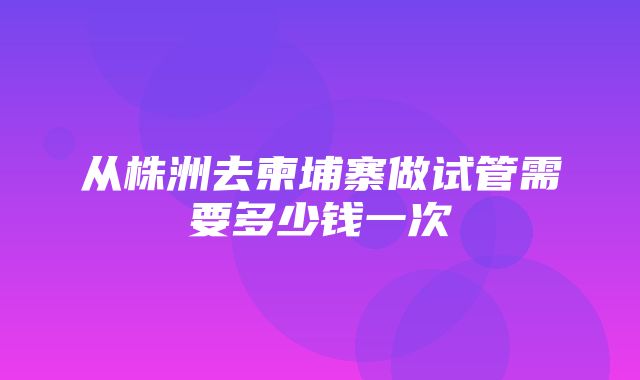 从株洲去柬埔寨做试管需要多少钱一次