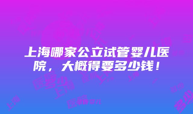 上海哪家公立试管婴儿医院，大概得要多少钱！