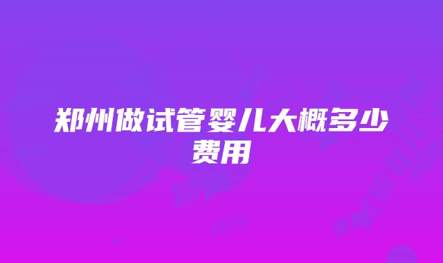 郑州做试管婴儿大概多少费用