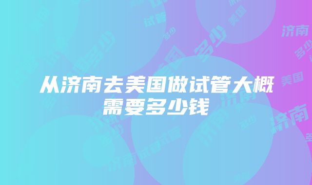 从济南去美国做试管大概需要多少钱