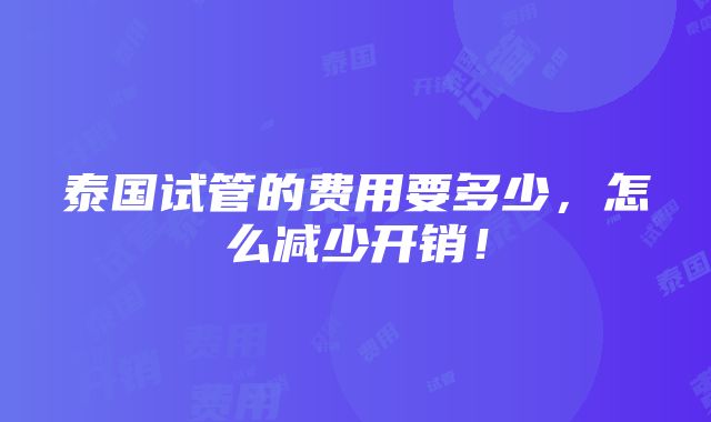 泰国试管的费用要多少，怎么减少开销！