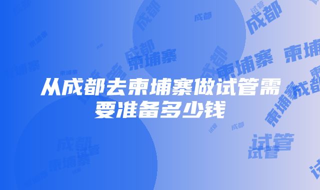 从成都去柬埔寨做试管需要准备多少钱