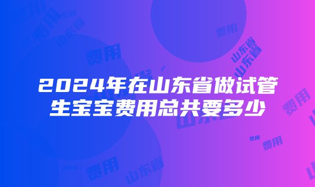 2024年在山东省做试管生宝宝费用总共要多少