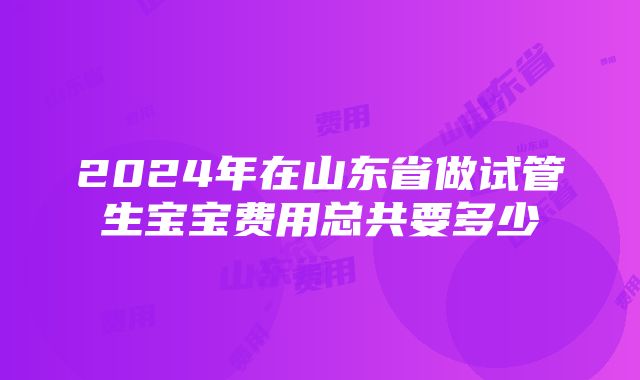 2024年在山东省做试管生宝宝费用总共要多少