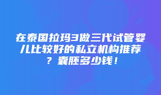 在泰国拉玛3做三代试管婴儿比较好的私立机构推荐？囊胚多少钱！