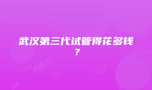 武汉第三代试管得花多钱？