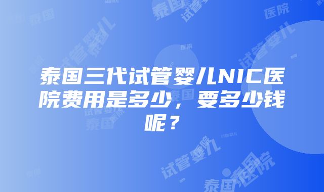 泰国三代试管婴儿NIC医院费用是多少，要多少钱呢？