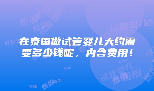 在泰国做试管婴儿大约需要多少钱呢，内含费用！