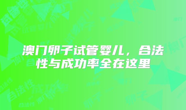 澳门卵子试管婴儿，合法性与成功率全在这里