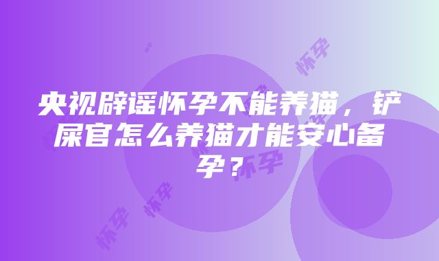 央视辟谣怀孕不能养猫，铲屎官怎么养猫才能安心备孕？