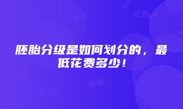 胚胎分级是如何划分的，最低花费多少！