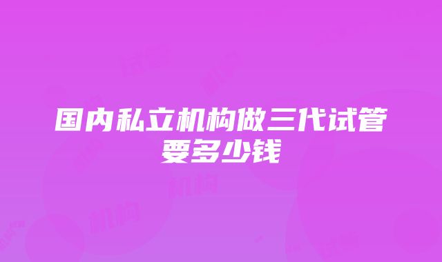 国内私立机构做三代试管要多少钱