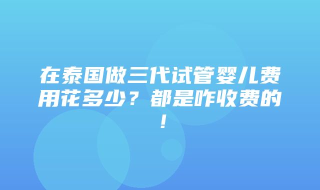 在泰国做三代试管婴儿费用花多少？都是咋收费的！