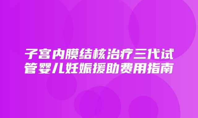 子宫内膜结核治疗三代试管婴儿妊娠援助费用指南