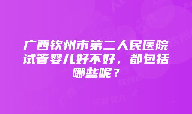 广西钦州市第二人民医院试管婴儿好不好，都包括哪些呢？