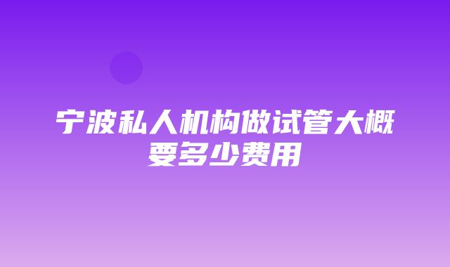 宁波私人机构做试管大概要多少费用