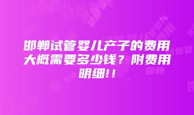 邯郸试管婴儿产子的费用大概需要多少钱？附费用明细!！