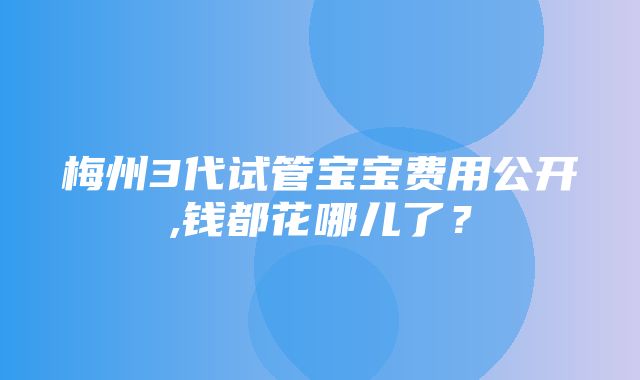 梅州3代试管宝宝费用公开,钱都花哪儿了？