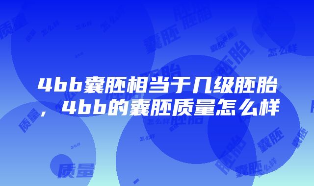 4bb囊胚相当于几级胚胎，4bb的囊胚质量怎么样