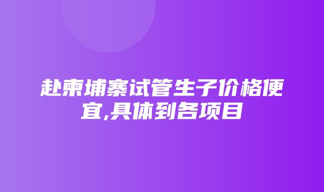 赴柬埔寨试管生子价格便宜,具体到各项目