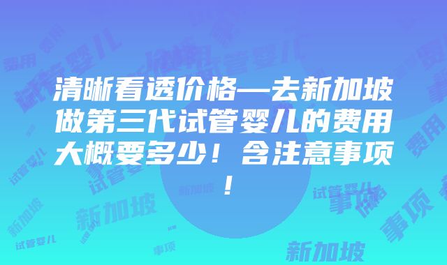 清晰看透价格—去新加坡做第三代试管婴儿的费用大概要多少！含注意事项！