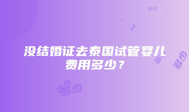 没结婚证去泰国试管婴儿费用多少？