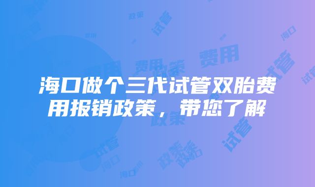 海口做个三代试管双胎费用报销政策，带您了解