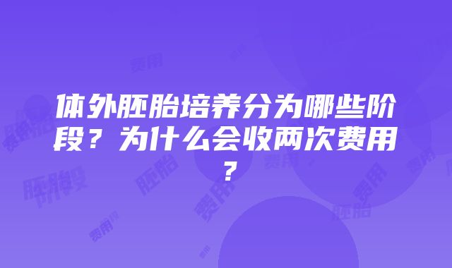 体外胚胎培养分为哪些阶段？为什么会收两次费用？