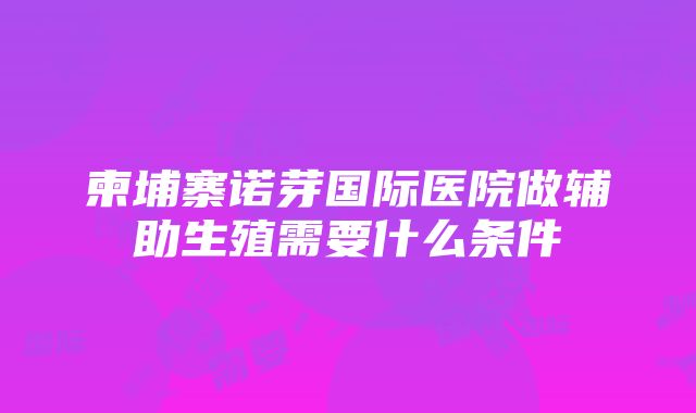 柬埔寨诺芽国际医院做辅助生殖需要什么条件