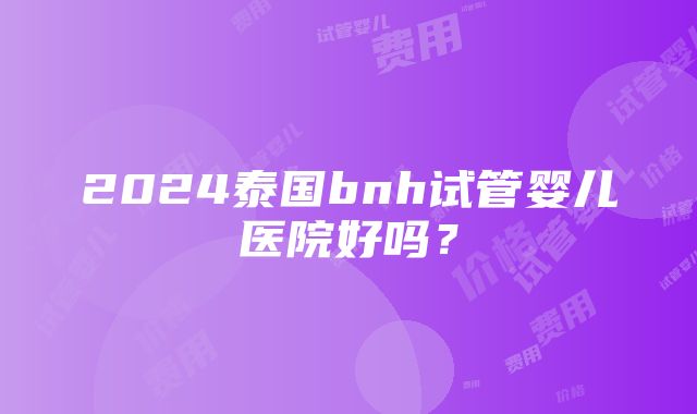 2024泰国bnh试管婴儿医院好吗？