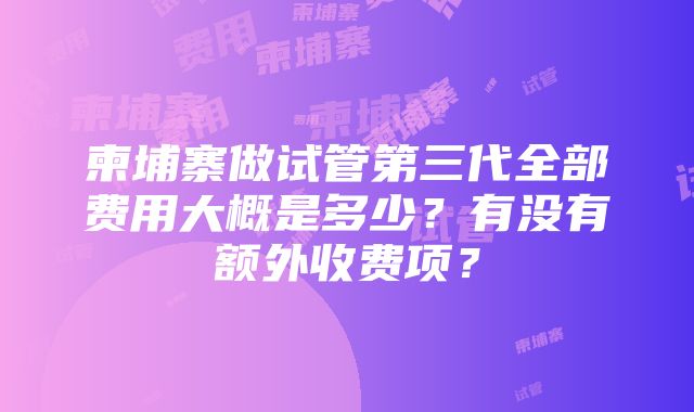 柬埔寨做试管第三代全部费用大概是多少？有没有额外收费项？