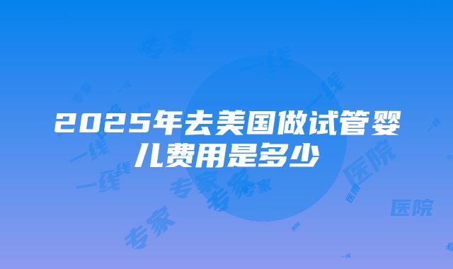 2025年去美国做试管婴儿费用是多少