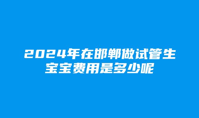 2024年在邯郸做试管生宝宝费用是多少呢