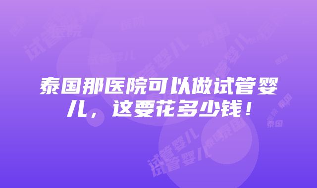 泰国那医院可以做试管婴儿，这要花多少钱！