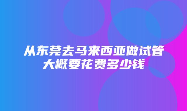 从东莞去马来西亚做试管大概要花费多少钱