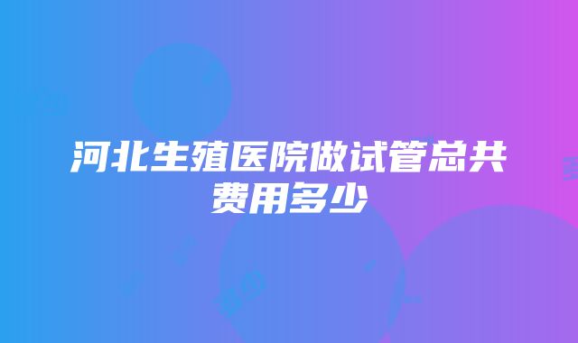 河北生殖医院做试管总共费用多少