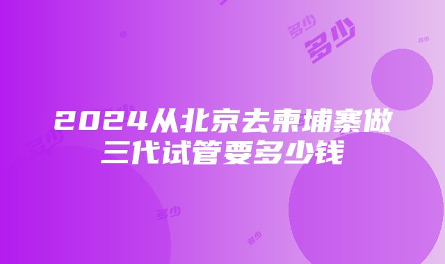 2024从北京去柬埔寨做三代试管要多少钱