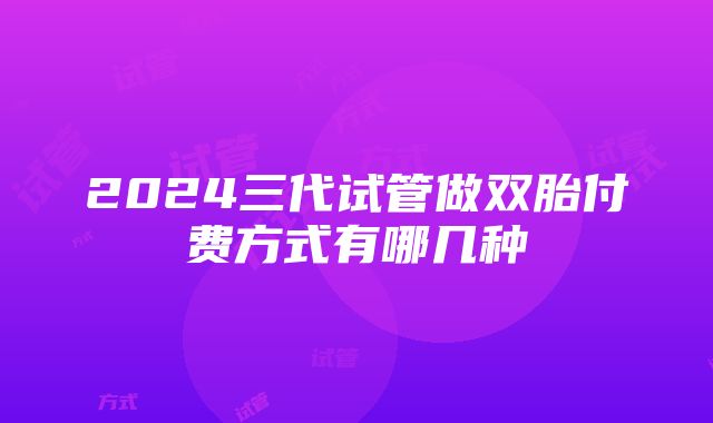 2024三代试管做双胎付费方式有哪几种