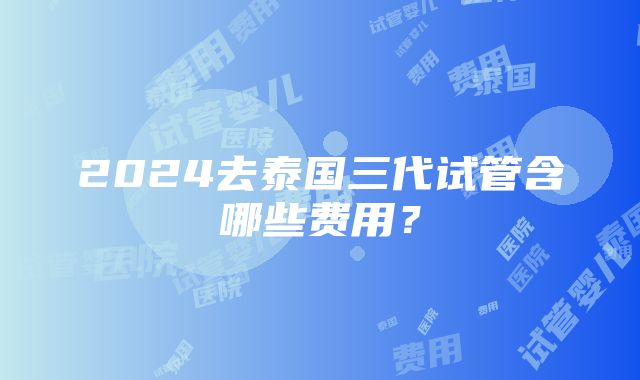 2024去泰国三代试管含哪些费用？